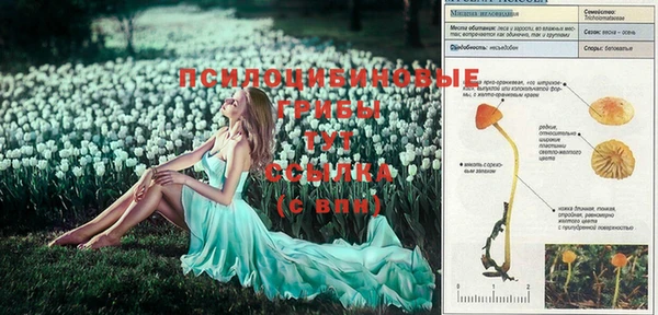 прущие крисы Абинск
